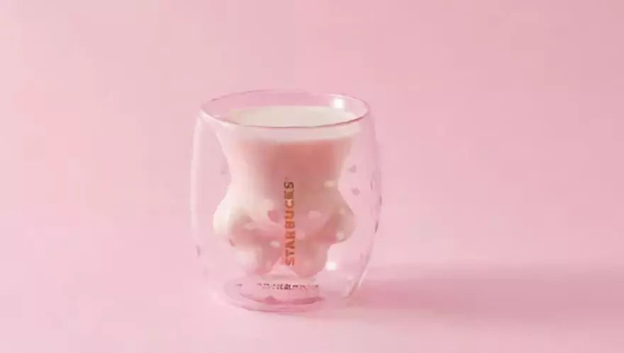 星巴克貓爪杯一杯難求，好的房屋加固技術(shù)在哪里？