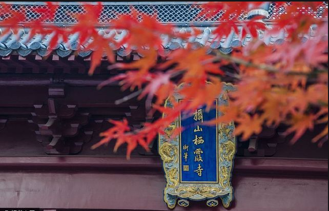 棲霞山楓葉換新顏，賞心悅目令人贊